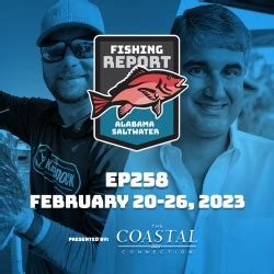 fishing on dauphin island|orange beach pier fishing report.